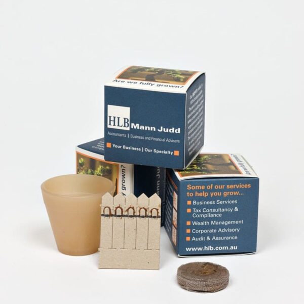 A set of promotional items from HLB Mann Judd, including a small pot, two cube boxes with company branding, a coir pellet, and wooden plant markers. The boxes display text about business services offered by the company.