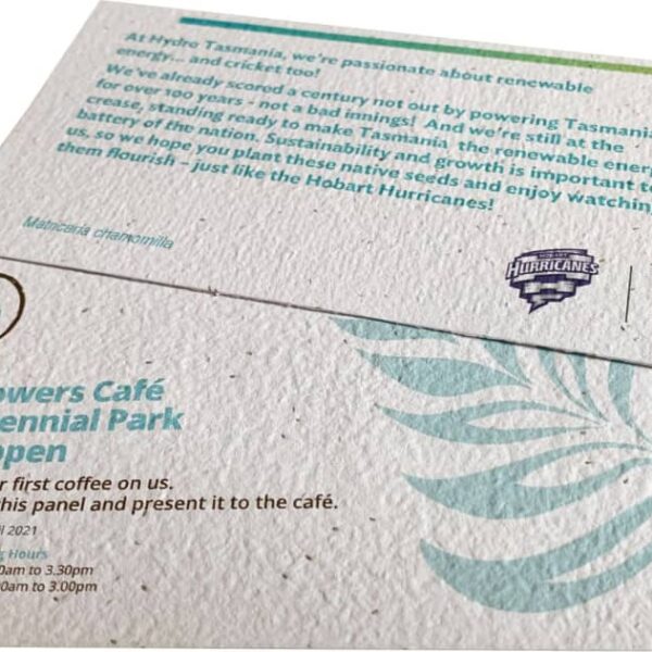 Seedsticks Seed Paper Flyer