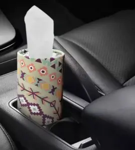 pack_of_facial_tissues_in_car