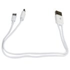 A white cable with a USB connector splits into two separate ends: one with a Lightning connector and the other with a USB-C connector.
