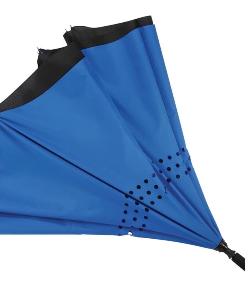 Royal-blue