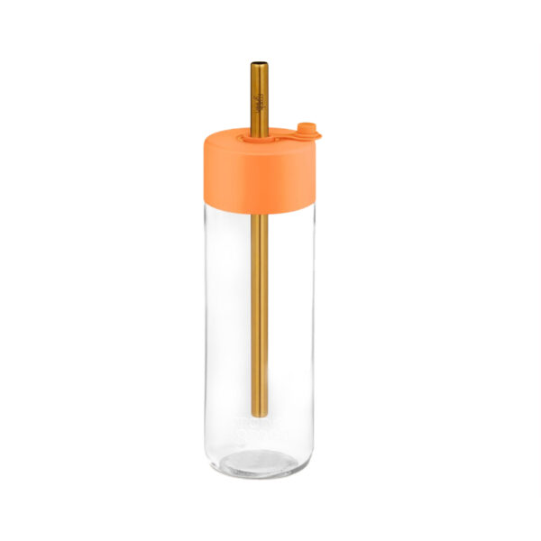 Frank Green 740ml Reusable Bottles with Jumbo Straw Lid 25oz
