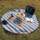 A round picnic setup on grass with a striped blanket. It includes cheese, fruit, crackers on a small table, a black bag, an open book, a bottle, and a pair of sandals. Chess pieces are arranged on a wooden board.