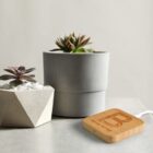 Two succulent plants in pots next to a wooden wireless charger on a table.