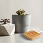 Two succulents in pots near a small wooden device on a table.