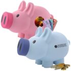 Two piggy banks: pink holding bills, blue with coins. Pink has a Financial Advice label, blue says Crossroads Investments.