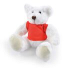 White teddy bear wearing a red shirt, sitting against a white background.