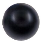 A shiny, black rubber ball with a smooth surface, centered on a white background.