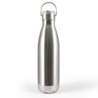 Silver stainless steel water bottle with a screw-on lid and a metal handle on top, standing upright against a plain white background.