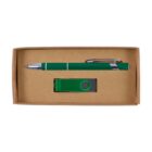 A rectangular cardboard box containing a green pen with silver accents and a matching green USB flash drive. The pen and USB drive are placed neatly side by side within the box.