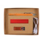 A cardboard box containing an orange pen, a red rectangular item, a USB flash drive with an orange accent, and a white USB cable with three connectors.