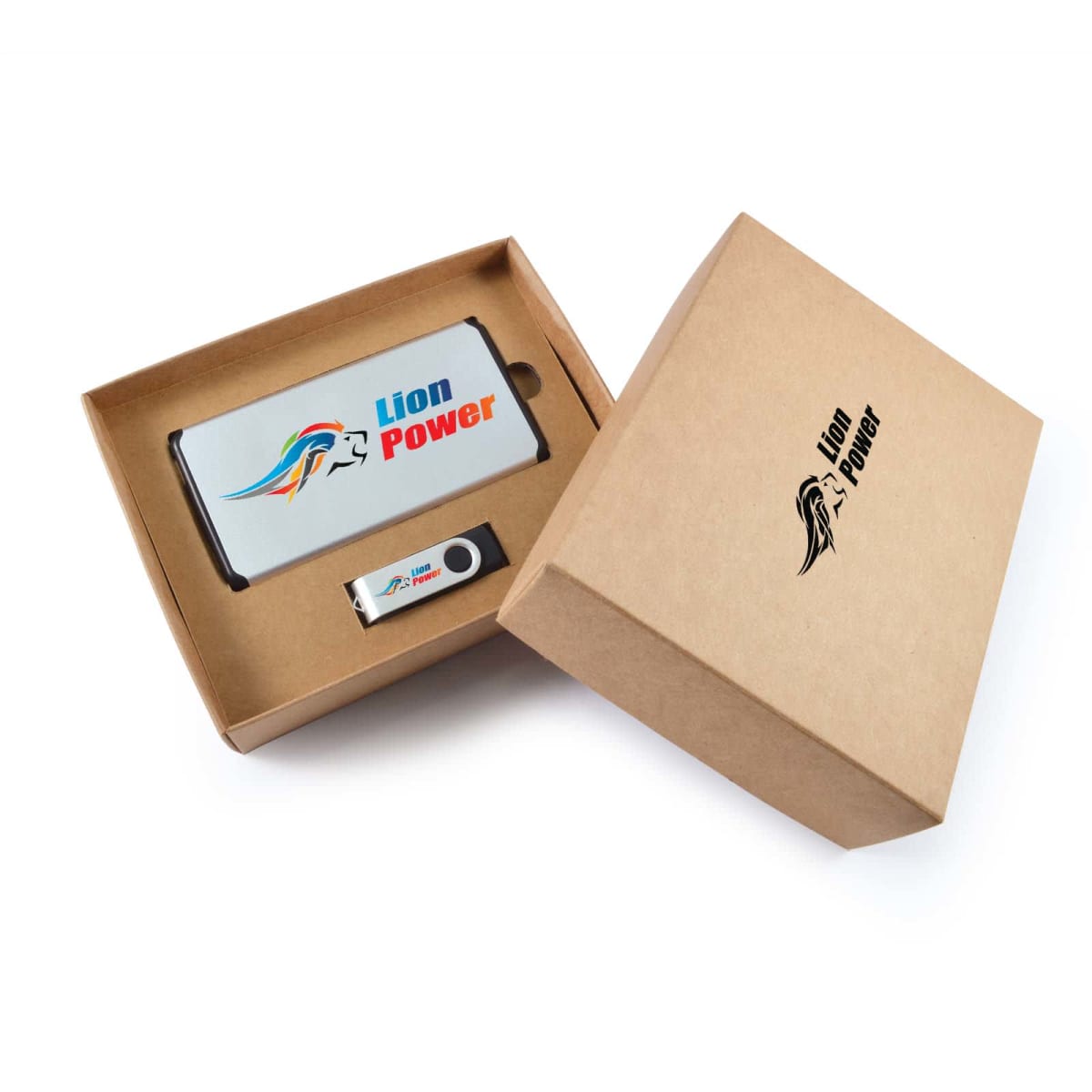 Open brown cardboard box with a silver power bank labeled Lion Power and a USB flash drive beside it. The box lid, lying next to the base, also displays the Lion Power logo.