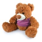 A fluffy brown teddy bear wearing a purple shirt sits upright. Its large paws are outstretched, and it has a round snout with a small brown nose. The bears expression is friendly and inviting.