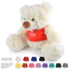 A fluffy white teddy bear wearing a red T-shirt with the text Inspired Homes. The image also shows options for custom T-shirt colors, including white, yellow, orange, pink, lilac, purple, aqua, dark green, grey, red, royal blue, and black.