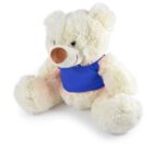 A fluffy white teddy bear wearing a bright blue vest is sitting upright. Its soft fur and friendly expression give it a cuddly appearance. The bear has a brown nose and black eyes, adding to its charm.