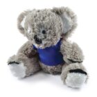 A plush koala bear wearing a blue shirt sits upright. Its fur is fluffy and gray, with lighter gray patches inside its ears and on its snout. The bears feet are upturned, showing their white undersides.