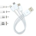 A multi-charging cable with four connectors: 8-pin, micro USB, USB Type-C, and USB. Each connector is labeled and shown in detail on the left. The cables are white and merge into one USB plug for charging.