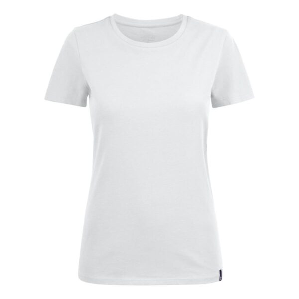Harvard Women's Crew Neck Tees
