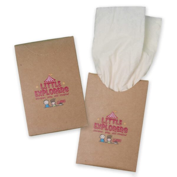 Two brown diaper packaging boxes with cartoon graphics and text Little Explorers.
