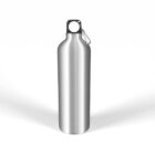 A silver metal water bottle with a black cap and a small metal carabiner attached to the loop. The bottle is standing upright on a white background.