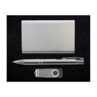 A silver metallic set on a black textured background, featuring a closed rectangular card holder, a shiny pen with a clip, and a USB flash drive with a silver swivel cover.