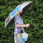 A person wearing a blue and white checkered dress stands in front of a lush green hedge, holding a colorful umbrella and a matching bag.
