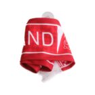 A red car flag with white text partially visible, featuring the word LAND. There is a transparent suction cup attached to the flag, and the flag appears to be draped or folded.