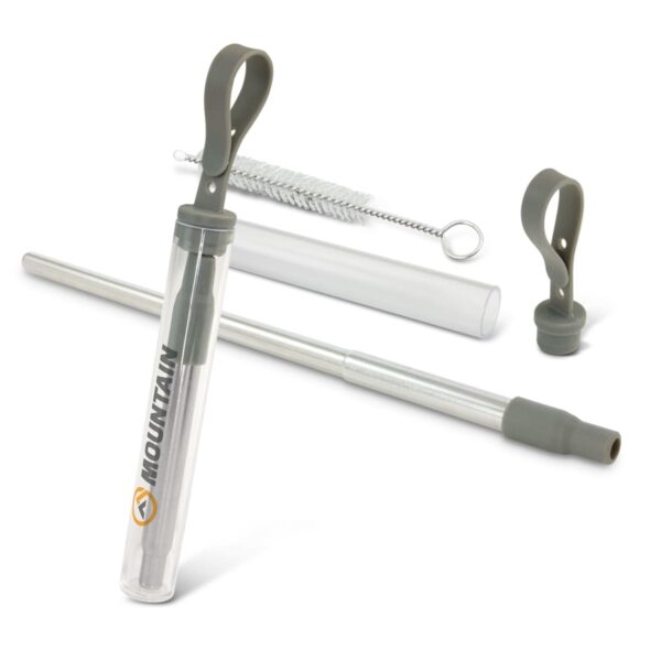 Vida Telescopic Straws