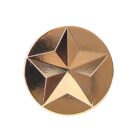 A gold metal pin featuring a raised five-pointed star design. The star is centered within a circle, and the surface is shiny and reflective.