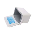 A small, open white cooler with a hinged lid. Inside, there is a blue ice pack placed on the bottom. The cooler and lid are made of insulated materials.
