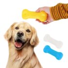 Golden retriever looking up at a hand holding a yellow bone-shaped toy. Nearby are a white and a blue bone toy. The dogs mouth is open, and it appears happy and attentive.