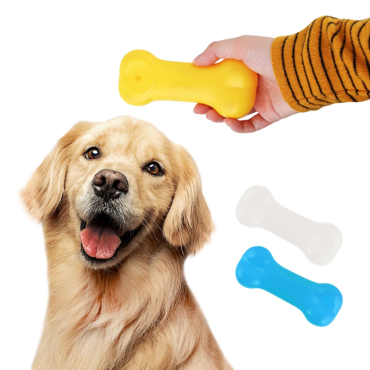 Golden retriever looking up at a hand holding a yellow bone-shaped toy. Nearby are a white and a blue bone toy. The dogs mouth is open, and it appears happy and attentive.