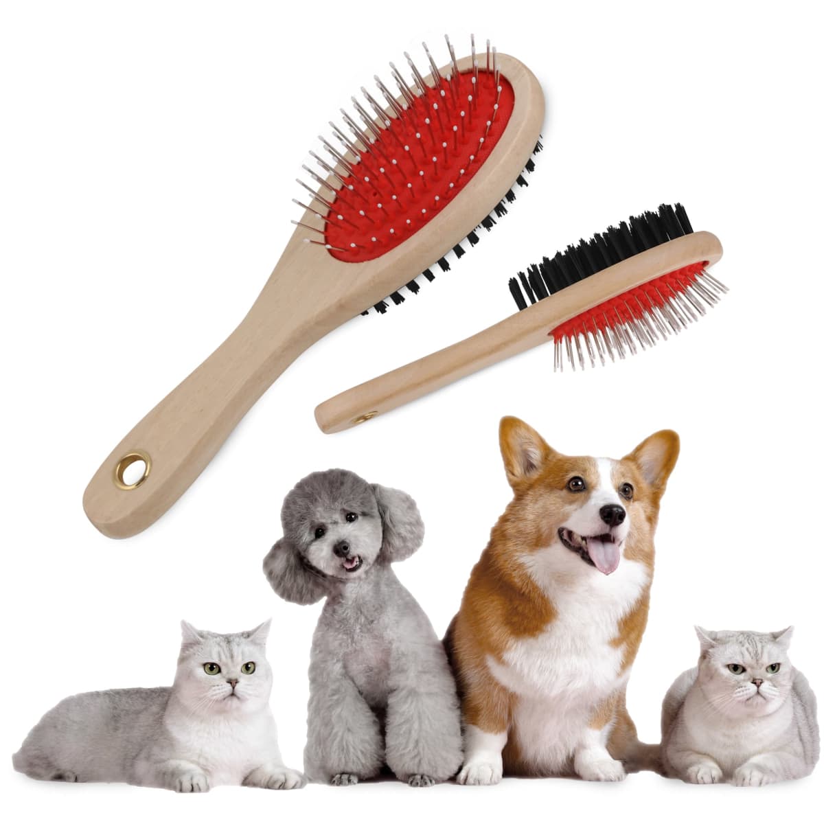 Two pet grooming brushes with red and black bristles, featuring wooden handles. Below them, a group of four pets: a fluffy grey cat, a poodle, a corgi, and another fluffy grey cat, all sitting in a row.