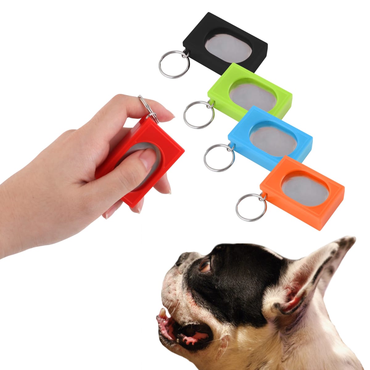 A hand holding a rectangular red dog clicker with a keyring. Four more clickers in black, green, blue, and yellow are lined up. A dog with pointy ears looks up, mouth open.