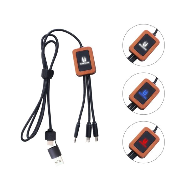 A USB heating pad cable with a black braided cord and multiple connectors. It has a control box with a logo and three settings shown in circular insets: blue, purple, and red.
