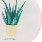 Illustration of an aloe vera plant in a yellow pot, set against a light background. The text Aloe Vera is written below the pot.