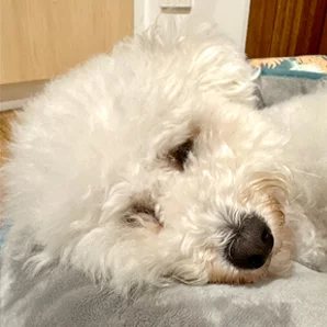 Coco's Photo