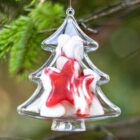 A clear Christmas tree-shaped ornament filled with small red and white candies, including a prominent red star, hangs from a green pine branch.