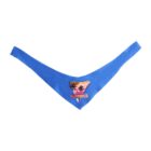 A blue thong with a design featuring a triangle graphic of palm trees against a sunset background. Below the graphic, the word SUMMER is printed in orange letters.