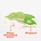 A green and white sponge shaped like a leaf. The left side is expanded and labeled After absorbing water, while the right side is dry and labeled Original.