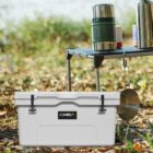 A white cooler sits on the ground next to a small black folding table. The table holds a green thermos, a cup, and other items. There is dry grass and foliage in the background, suggesting an outdoor setting.