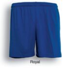 Blue athletic shorts against a white background, with the label Royal beneath them.