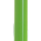 Green ballpoint pen with a silver-colored clip and tip, standing upright against a white background.