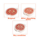 Three images showing a sponge shaped like a tomato slice. Top left: Original dry sponge. Top right: After absorbing water, the sponge is thicker. Bottom: Dry condition, sponge dense and less porous compared to the original.