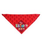 Red triangular bandana with The Birthday Boy printed in colorful block letters. There are small robot silhouettes in the background pattern.