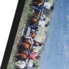 A group of people on horseback near a fence in a rural outdoor setting.