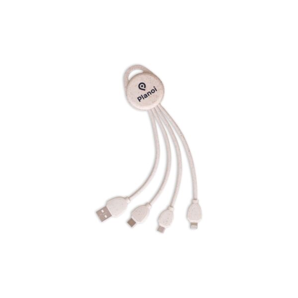 A multi-connector charging cable with a central hub labeled Planoi. It features four connectors: USB, USB-C, micro USB, and Lightning, all extending from the hub. The cables are white.