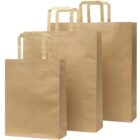 Three brown paper bags of varying sizes with handles, standing upright against a white background.