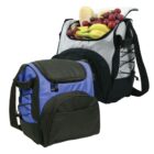 Two insulated cooler bags are shown. One is larger, gray and black, filled with fruits like grapes and bananas. The smaller one is blue and black, with a front pocket and side lacing. Both have shoulder straps.