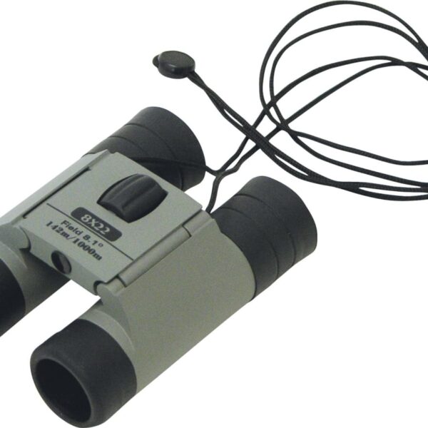Compact pair of gray binoculars with black eyepieces, featuring a central focus wheel. It has a neck strap attached, coiled on the side. The model number 8x22 is printed on the top.